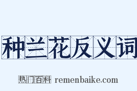 种兰花反义词是什么意思的图片